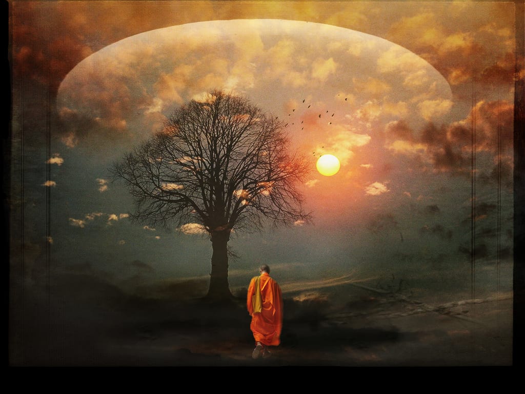 Photo courtesy of Mara Earth Light